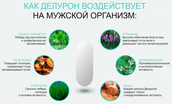
Deluron Forte (Делурон Форте) капсулы при простатите 