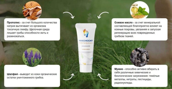 Миконосил — средство от грибка
Миконосил — средство от грибка