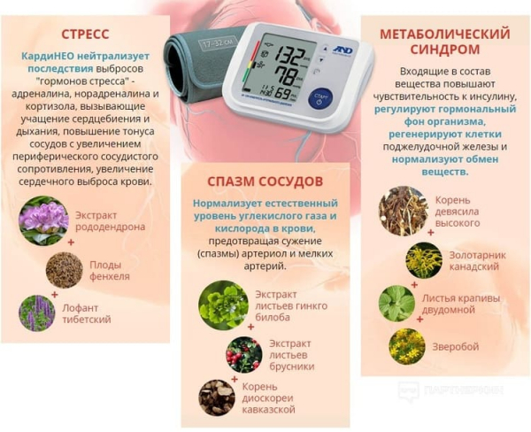 КардиНео средство от гипертонии
КардиНео средство от гипертонии