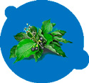 
Artrodex для суставов 