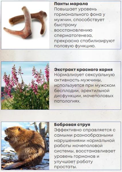Erectol Forte – средство для потенции
Erectol Forte – средство для потенции