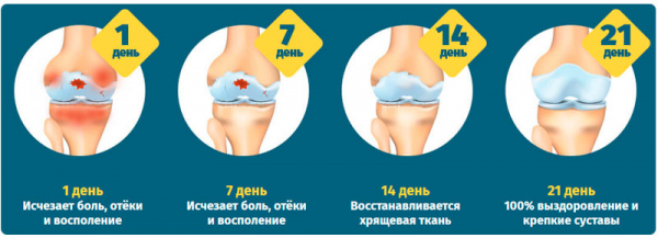 Лошадиный Бальзам для суставов
Лошадиный Бальзам для суставов
