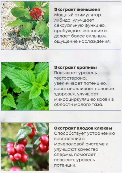 Erectol Forte – средство для потенции
Erectol Forte – средство для потенции