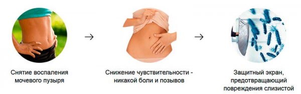 Цистерол от цистита
Цистерол от цистита