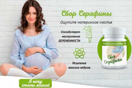 Сбор Серафимы
Сбор Серафимы