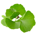
Loravit для слуха 