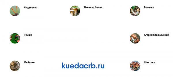 
Мицеликс 