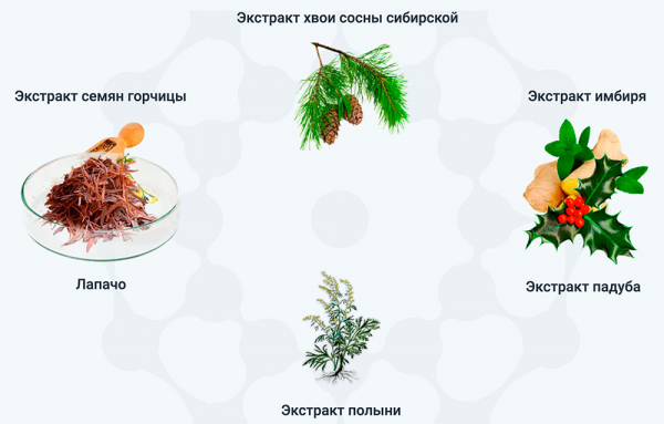 Мазь Ремитазол
Мазь Ремитазол