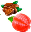 RESIZE для похудения
RESIZE для похудения