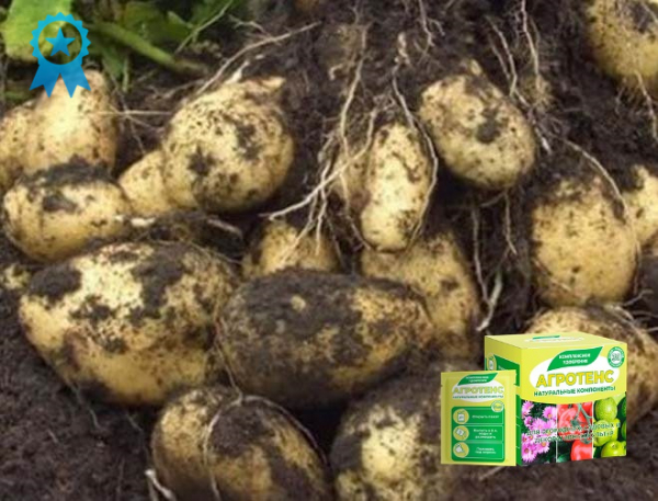 Комплексное удобрение Agrotens. Официальный сайт, реальные отзывы
Комплексное удобрение Agrotens. Официальный сайт, реальные отзывы