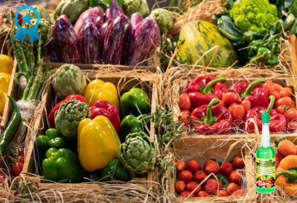 Органическое удобрение Твой Урожай. Официальный сайт, реальные отзывы
Органическое удобрение Твой Урожай. Официальный сайт, реальные отзывы