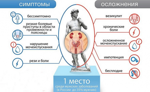 
Трутневин для потенции &mdash; инструкция по применению 