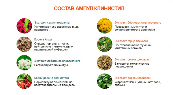 
Клинистил &mdash; продукт для выведения паразитов из организма 
