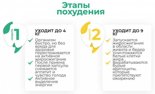 Орсофит для похудения
Орсофит для похудения