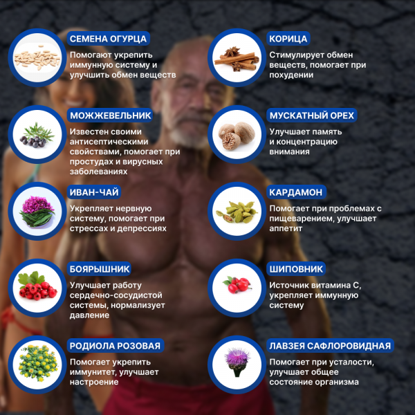 
ЧАЙ ДЛЯ МУЖЧИН MULTI HEALTH MEN: ОБЗОР И ПОЛЬЗА 
