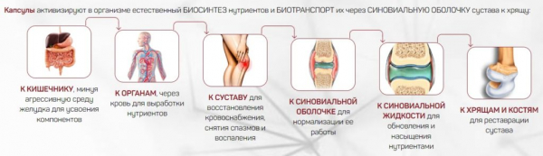 Голд Остеопак для суставов
Голд Остеопак для суставов