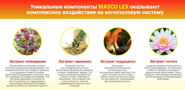 Mascu Lex — эффективный препарат для мужчин
Mascu Lex — эффективный препарат для мужчин