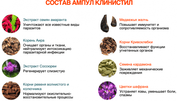 Клинистил от паразитов
Клинистил от паразитов