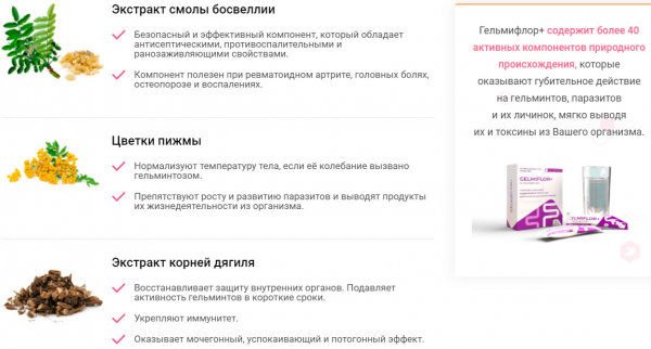 
				Гельмифлор &mdash; новый противоглистный препарат			