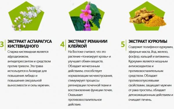 Салютем Про (Salutem Pro) для мужчин
Салютем Про (Salutem Pro) для мужчин