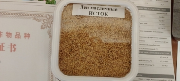 Куда пропали цветущие льняные поля: в Академии наук заявили о стратегической важности лубяных культур
