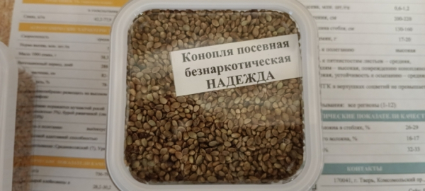 Куда пропали цветущие льняные поля: в Академии наук заявили о стратегической важности лубяных культур