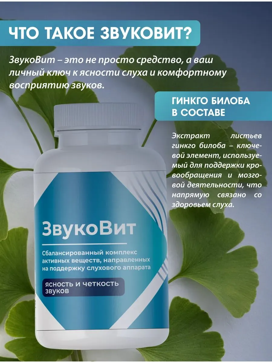 ЗвукоВит для слуха: состав таблеток и курс приёма ЗвукоВит для слуха: состав таблеток и курс приёма