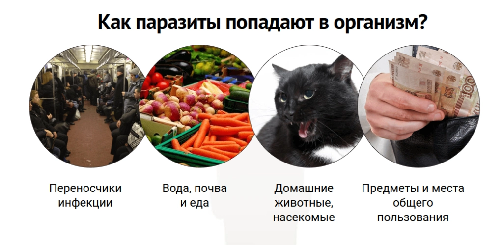 Бактери Форм (Bacteri Form) — шипучий антипаразитарный комплекс с 5 природными компонентами Бактери Форм (Bacteri Form) — шипучий антипаразитарный комплекс с 5 природными компонентами
