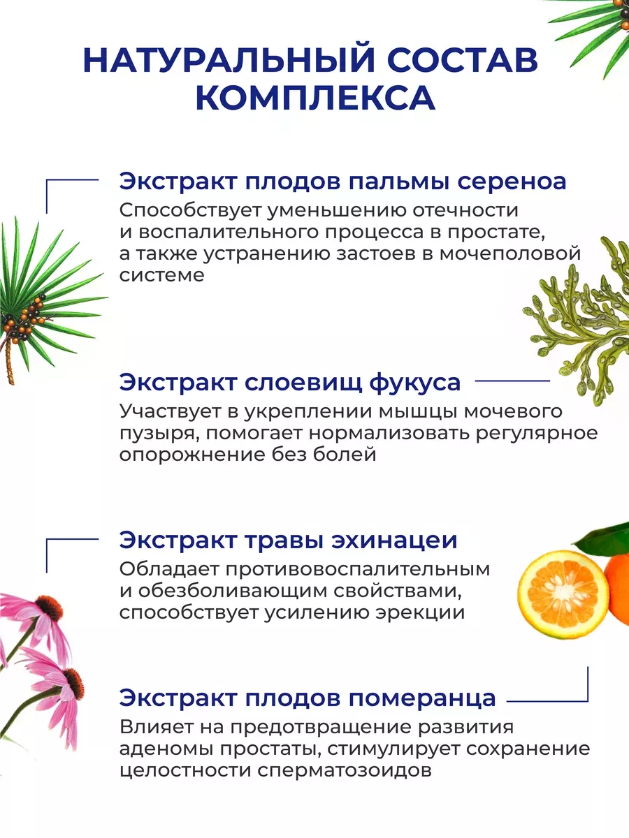 Простабиотик (Prostabiotic) — комплексный фитопрепарат для здоровья предстательной железы и мужской мочеполовой системы Простабиотик (Prostabiotic) — комплексный фитопрепарат для здоровья предстательной железы и мужской мочеполовой системы