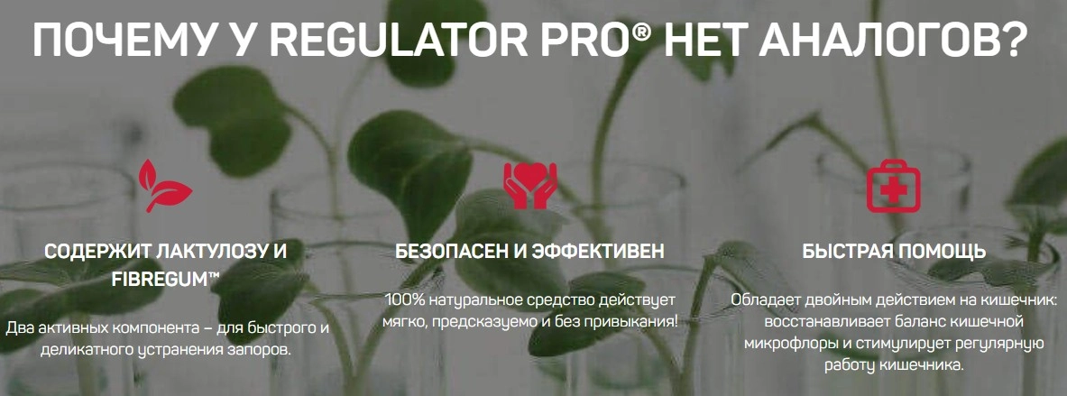 Регулятор ПРО (Regulator Pro) — средство от запора: купить в России Регулятор ПРО (Regulator Pro) — средство от запора: купить в России