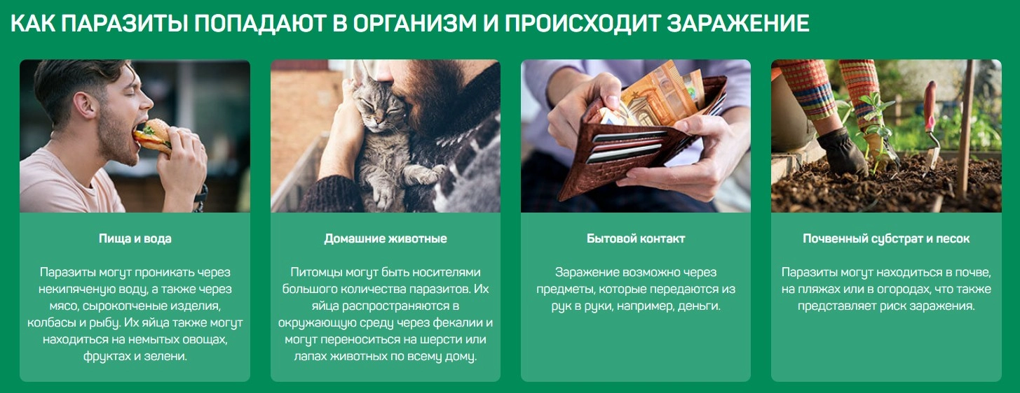 Фабитол (Fabitol) — антипаразитарный комплекс 4 в 1: купить в России