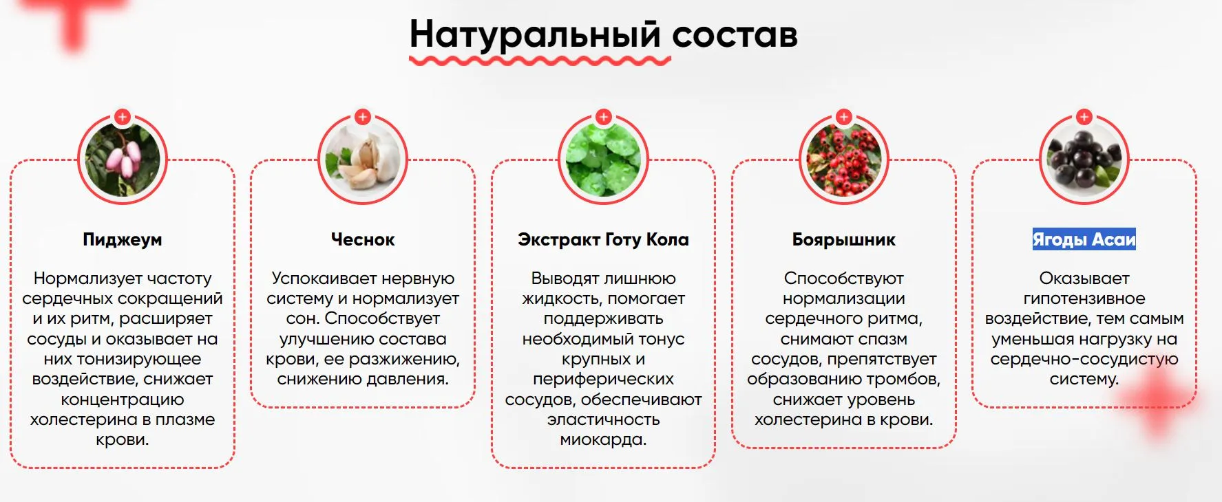 Iron Синтезит (Iron Synthesit) — натуральный комплекс для здоровья сердца и сосудов Iron Синтезит (Iron Synthesit) — натуральный комплекс для здоровья сердца и сосудов