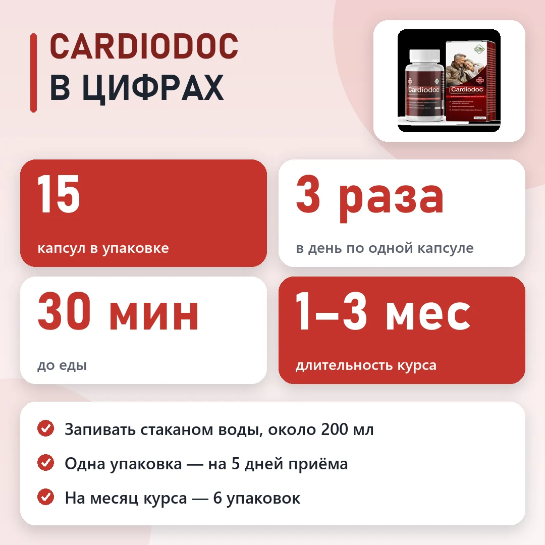 CardioDoc в цифрах: схема и курс