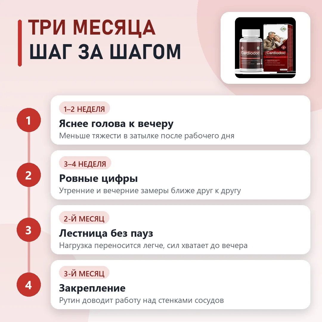 Курс CardioDoc по этапам