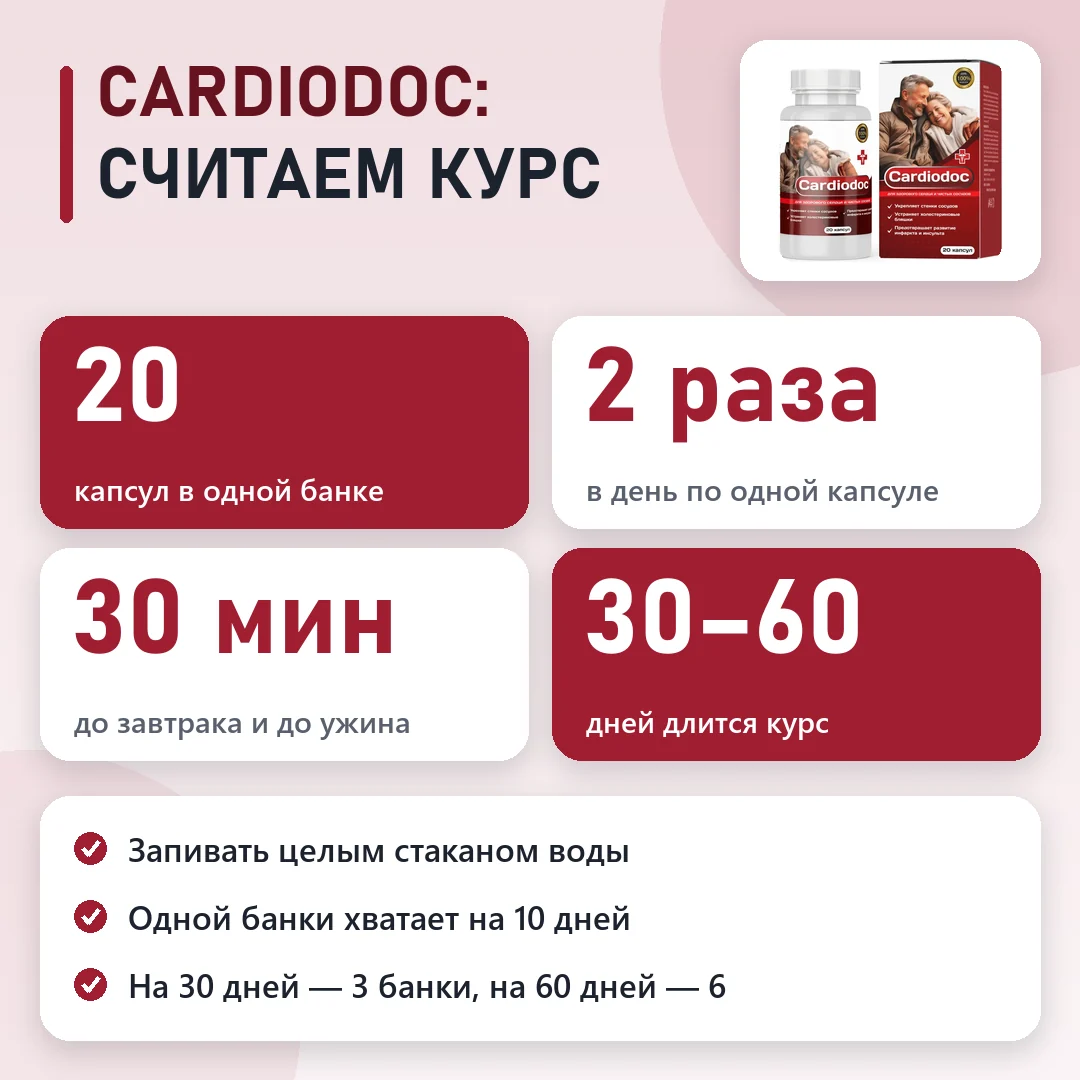 CardioDoc в цифрах: схема и курс