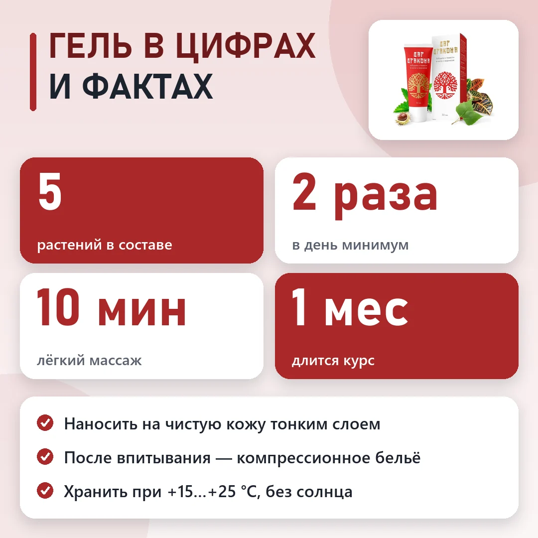 Дар Дракона в цифрах: схема и курс