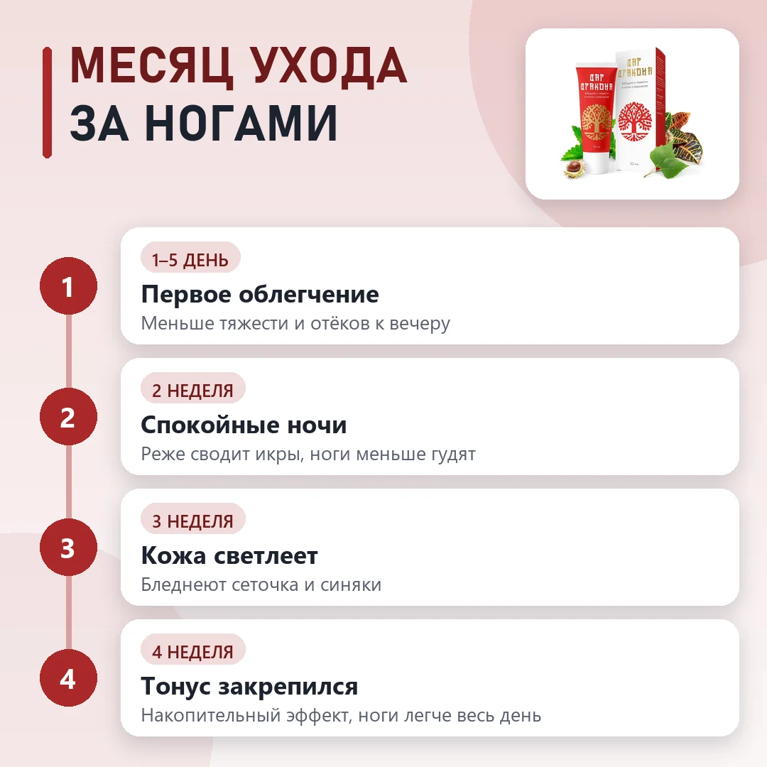 Курс Дар Дракона по этапам
