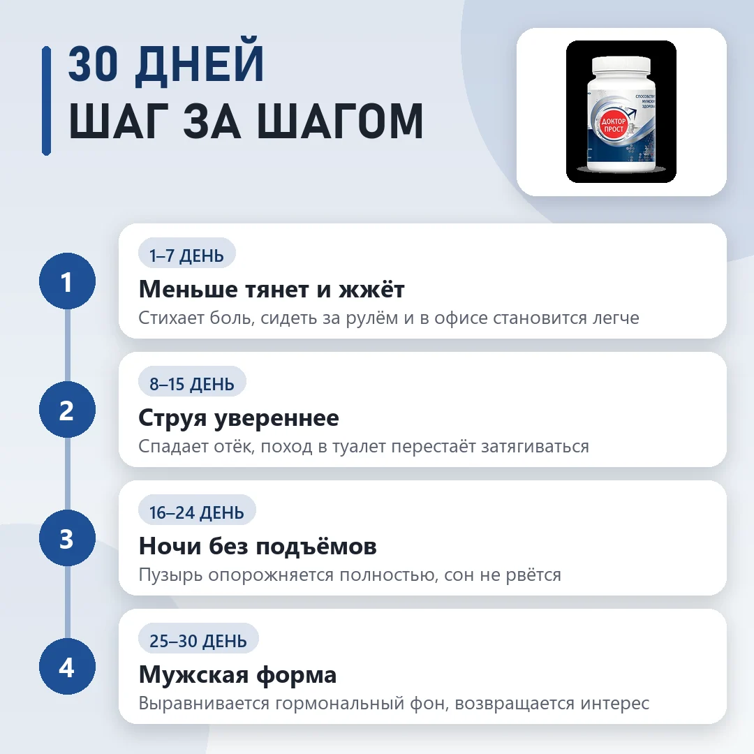 Курс Доктор Прост по этапам