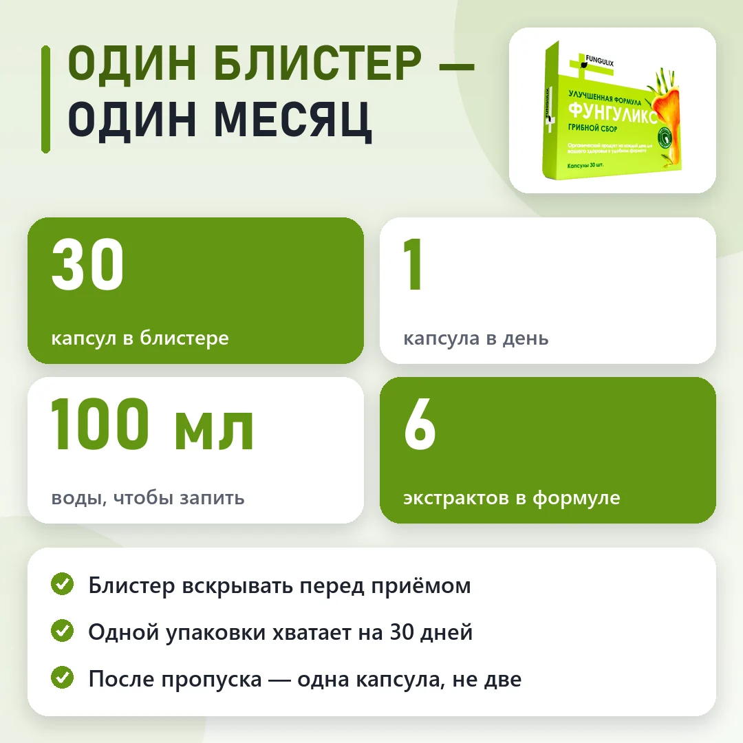 Фунгуликс в цифрах: схема и курс