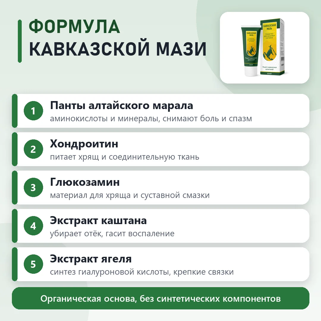 Состав Кавказская мазь: что входит в формулу