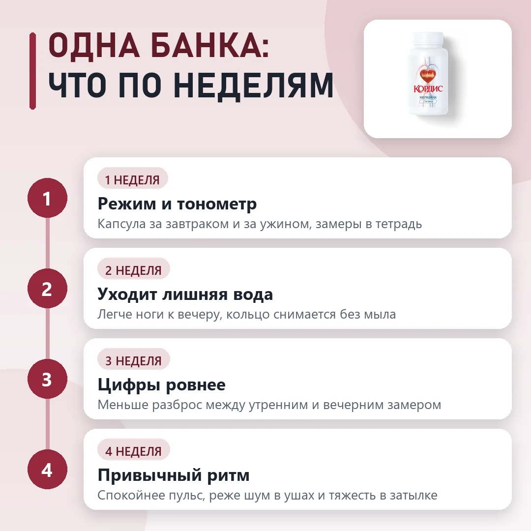 Курс Кордис Меридиан по этапам