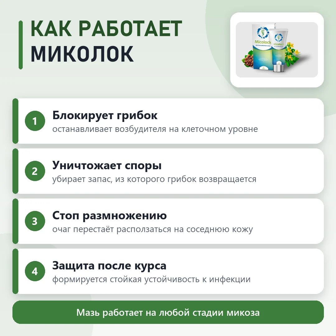 Состав Миколок: что входит в формулу
