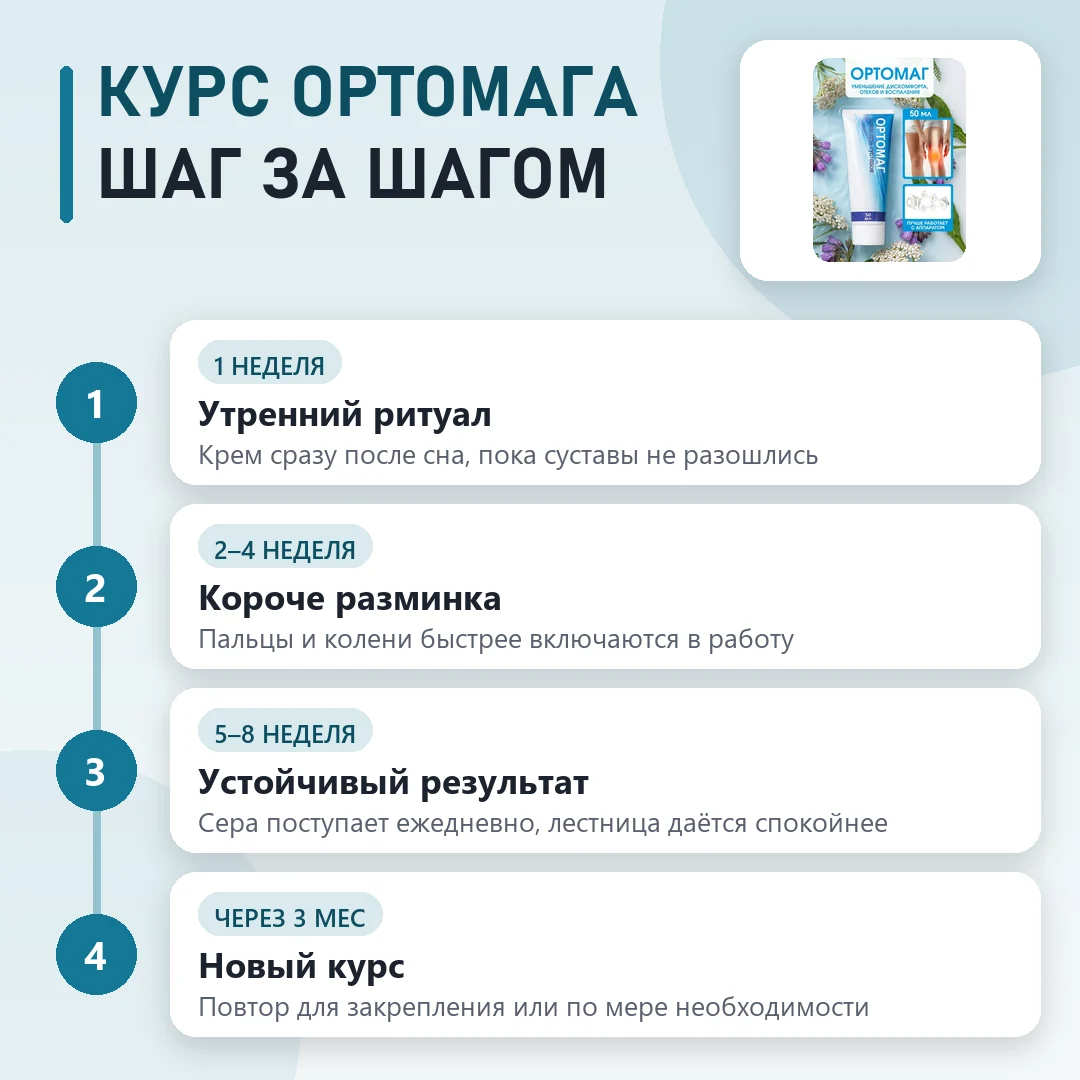 Курс Ортомаг по этапам