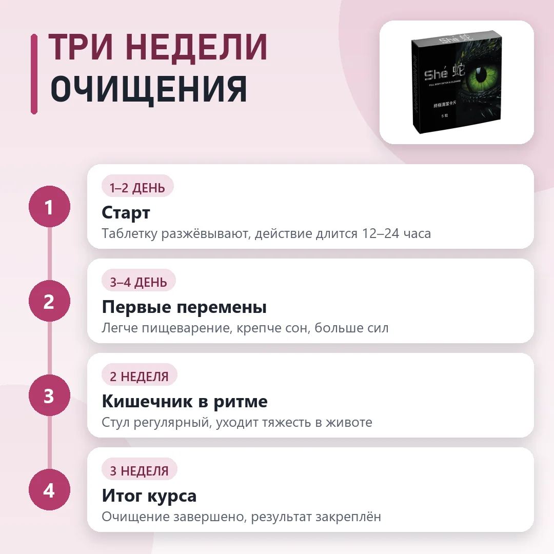 Курс She по этапам