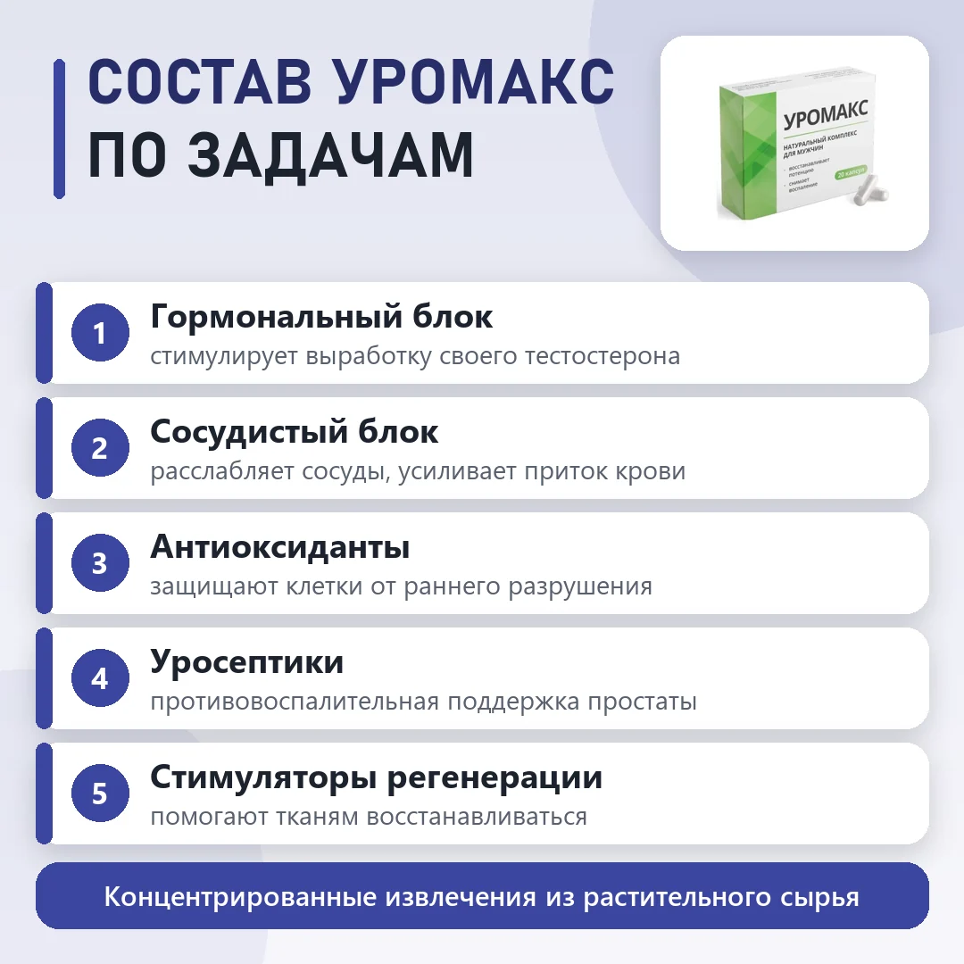 Состав Уромакс: что входит в формулу