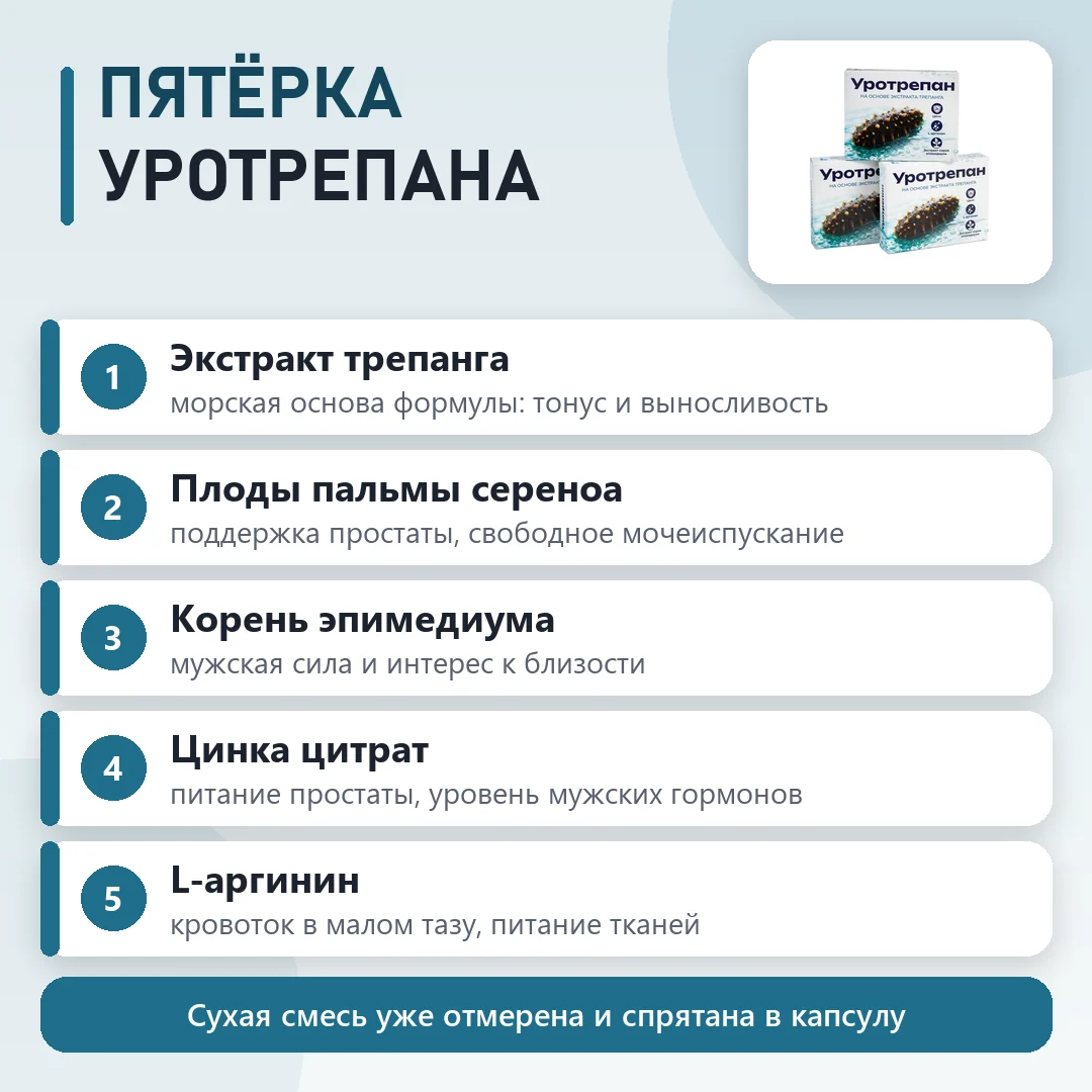 Состав Уротрепан: что входит в формулу