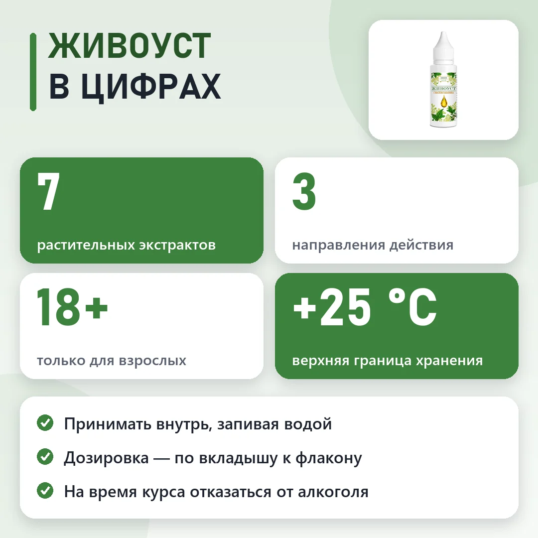 Живоуст в цифрах: схема и курс
