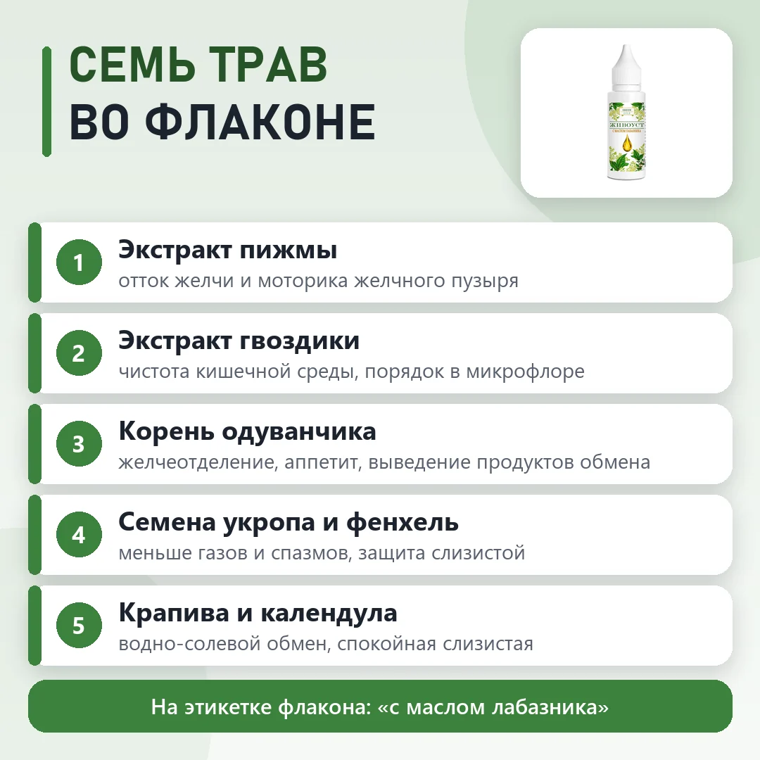 Состав Живоуст: что входит в формулу