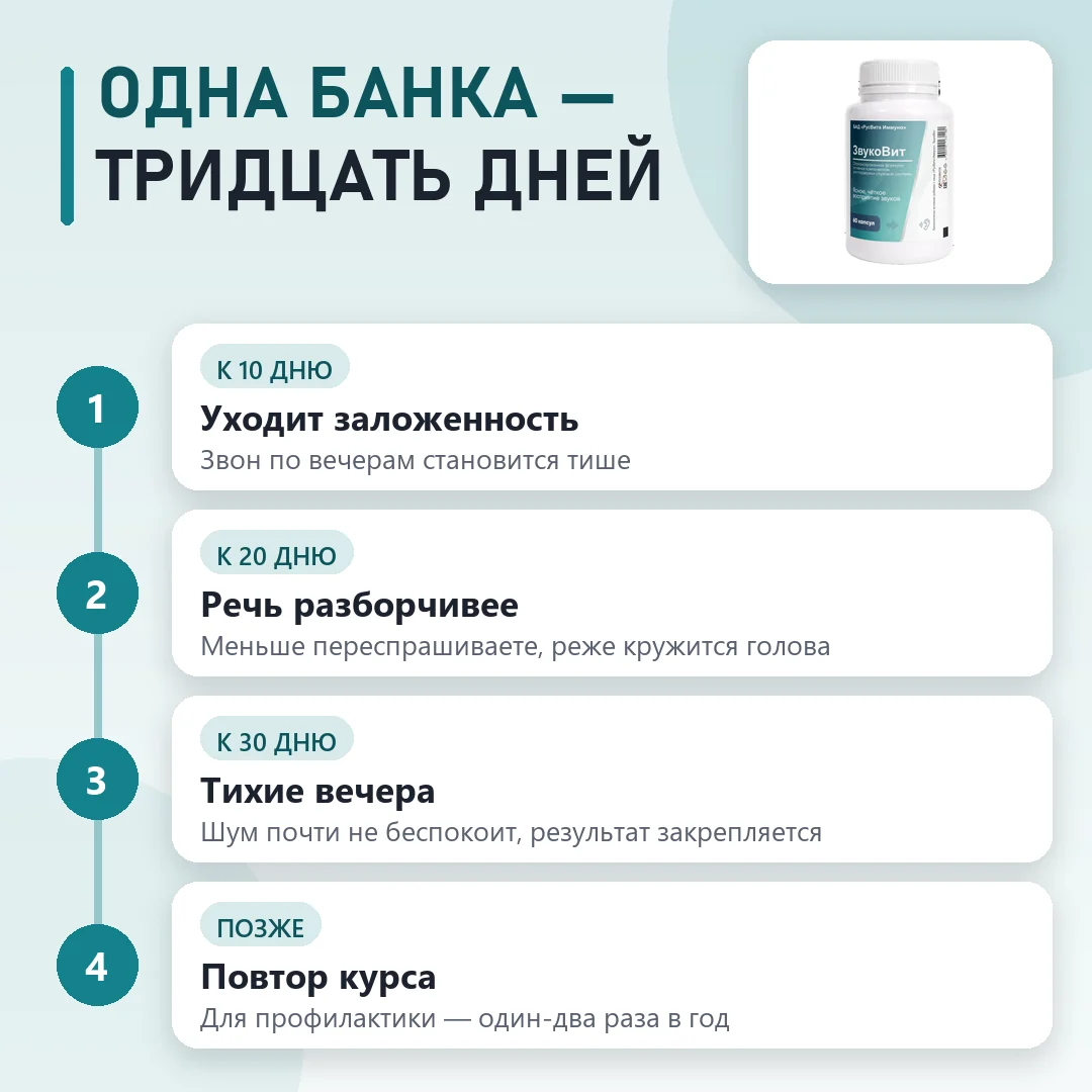 Курс Звуковит по этапам
